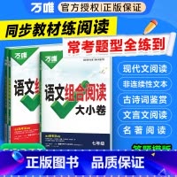语文组合阅读大小卷 九年级 [正版]2025万唯初中语文组合阅读大小卷七八九年级阅读理解专项组合训练试卷测试卷子初一初二