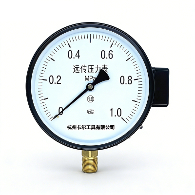 卡尔 远传压力表