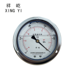 祥屹 耐震真空压力表轴向带边 YTN100ZT -0.1-0Mpa 块