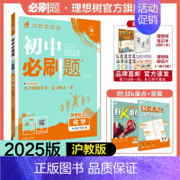 化学 HJ 九年级下 [正版]理想树2025版初中九年级下册化学沪教版HJ初三同步练习中考复习资料模拟题辅导书同步练习题