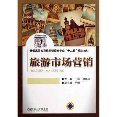 正版新书]旅游市场营销丁林9787111428008
