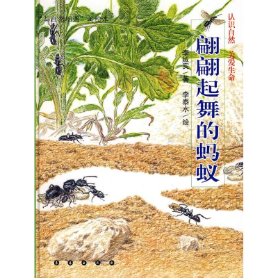 醉染图书翩翩起舞的蚂蚁9787544506410