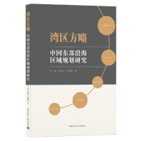音像湾区方略--中国东部沿海区域规划研究王伟朱小川张常明 著