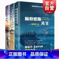 [正版]梅赛德斯先生三部曲 警戒解除 斯蒂芬金 同名美剧原着 梅赛德斯先生 侦探小说 悬疑小说 推理 上海文艺