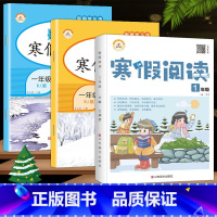 寒假作业+寒假阅读 小学三年级 [正版]荣恒教育 2023寒假作业一年级上册二三四五六年级上册寒假作业语数英人教版 小学