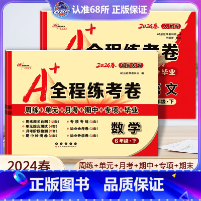 语文 [人教版]+数学[ 北师版] 六年级下 [正版]2本2024新版 A+全程练考卷六年级下册语文人教版数学北师大版小