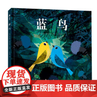 蓝鸟:我们既可以克服困境,走出悲伤,也可以成为照亮别人的那道光。