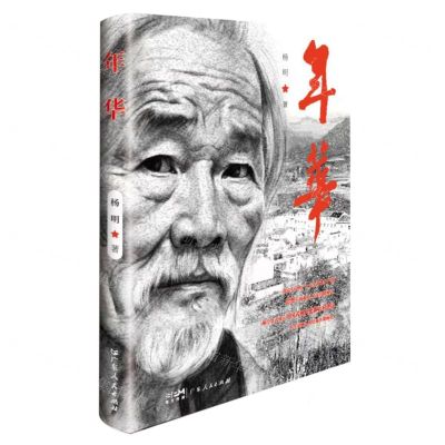 [N]年华-9787218169705