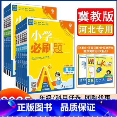 语文人教+数学冀教+英语冀教 三年级上 [正版]河北专版2025新小学必刷题JJ冀教版一二三四五六年级上册下册数学英语小