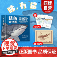 鲨鱼大图鉴精装9目36科536种世界现生鲨鱼完全解读科普百科海洋动物每个物种的详细介绍和精美彩色插画进化史物种的多样性生