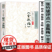 鲁迅胡适郑振铎张竹坡茅盾等解读金瓶梅 《金瓶梅》书籍中国古典小说文学解读批注赏读