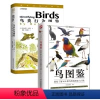 [正版]2册 鸟图鉴 轻松了解410种鸟类的特征与习性+鸟类行为图鉴:野外观鸟大师课鸟百科鉴赏大全书籍