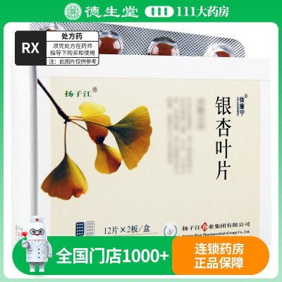 依康宁 银杏叶片 24片/盒