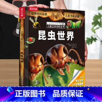 昆虫世界 [正版] 昆虫儿童3D立体书3-6-8-10-12岁以上百科世界拉鲁斯科普百科翻翻机关书课外阅读知识书籍一年级