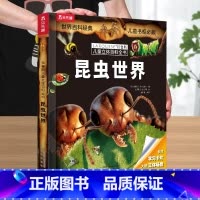 昆虫世界 [正版] 昆虫儿童3D立体书3-6-8-10-12岁以上百科世界拉鲁斯科普百科翻翻机关书课外阅读知识书籍一年级