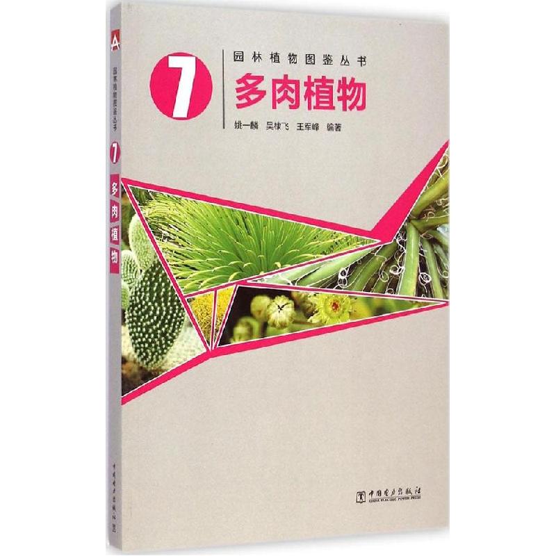 正版新书]多肉植物吴棣飞9787512365933