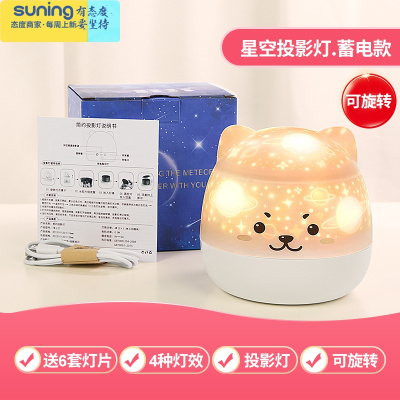 希杰狮王创意星空可变色二合一小夜灯少女心梦幻卧室ins睡眠可爱暗呆萌汪充电款-6套灯片充电插电两用灯具