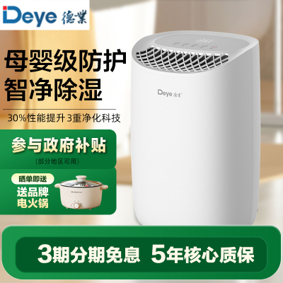 德业(Deye)除湿机/抽湿机DYD-B12A3 除湿量12升/天 家用轻音地下室干衣母婴除湿器干燥机空气净化