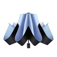 荣百汇 手动UV雨伞晴雨两用女太阳伞防晒遮阳伞大号双人折叠伞男加固骨架 把