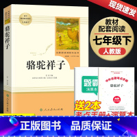 [正版]骆驼祥子人民教育出版社 老舍七年级下册 人民教育出版社名著阅读 名著阅读书 中学教辅7年级下册课内外阅读
