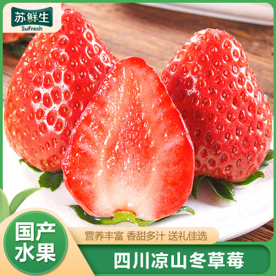 顺丰快递[苏鲜生]彩箱装 四川正宗大凉山露天草莓 小果 单果15g左右 净重1.2斤 (300g*2) 新鲜水果