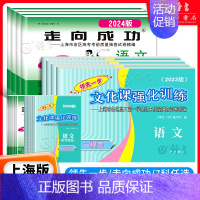语文试卷+答案 2023高考一模 [正版]2024年版上海高考一模二模卷语文数学英语物理化学历史政治生命科学生物 文化课