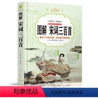 [正版] 图解 宋词三百首 中国古诗词鉴赏 文白对图解宋词三百首