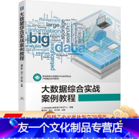 [友一个正版]大数据综合实战案例教程 工业和信息化部教育与考试中心 职业教育大数据技术与应用专 业产教融合系列教材 9