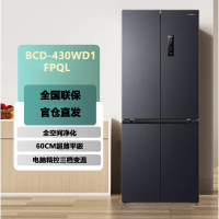 容声 BCD-430WD1FPQL 430升 对开四门 双开门冰箱零平嵌薄家用大容量变频无霜低噪