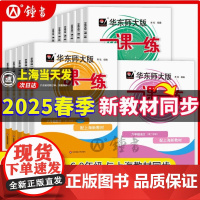 2025新教材一课一练沪教版二三四五年级下册语文数学英语上海七八九年级物理化学华东师大版一课一练六年级七下数学一课一练增