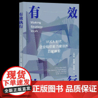 正版 有效执行:VUCA时代企业组织能力建设的五星模型 王术军,陈海锋,刘常青 著 社科文献 97875228196
