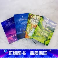 全套4册 [正版]共4册 鲁滨逊漂流记 汤姆索亚历险记 爱丽丝梦游仙境 尼尔斯骑鹅旅行记 文学精装原著中小学生课外阅读四