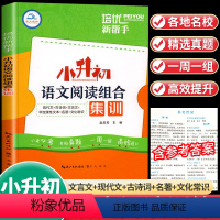 语文阅读组合集训 小学升初中 [正版]小升初语文阅读组合集训人教版六年级下册语文阅读理解专项强化训练书小学升初中文言文现