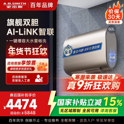 史密斯60升电热水器 家用 双胆扁桶 纤薄黑科技 大屏触控 双擎速热 E60HGDWi一级能效 储水式