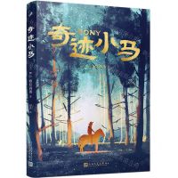 [N]奇迹小马-9787020184972