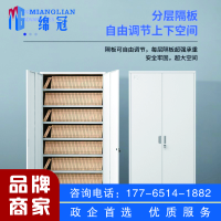 绵冠文件柜办公柜钢制铁皮柜资料柜档案柜储物柜 凭证柜八层