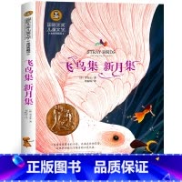 飞鸟集新月集 [正版]柳林风声 书小学生三至四五六年级看的课外书老师阅读书籍小学3-6孩子读8一12岁儿童看的故事书文学