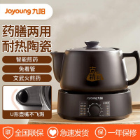 九阳分体式煎药壶全自动熬药电炖锅GD3006BQ