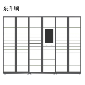 东升顺智能快递柜小区快递自提柜派件柜室外寄存柜信报箱储物柜一主两幅61格