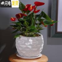 三维工匠欧式花卉陶瓷植物花盆创意鲜花摆件阳台虎尾兰吊兰花盆大号花卉盆 经典格纹金裂(含托盘) 大花盆容器