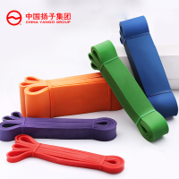 扬子(YANGZI)阻力带YZ-ZLD001