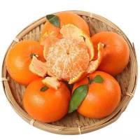 [鲜贝达] 广西武鸣沃柑9斤橙子 VC