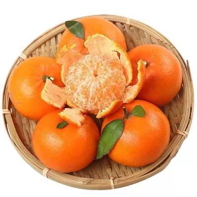 [鲜贝达] 广西武鸣沃柑9斤橙子 VC