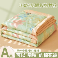 夏季新疆棉花纯棉夏被里外全棉夏凉被四件套单人可机洗水洗空调被