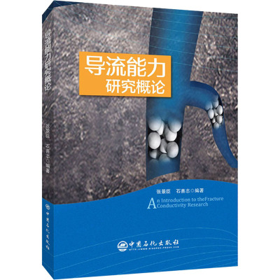正版书籍 导流能力研究概论张景臣石善志石油工程高校学生油气田开发方向学者和油田现场技术人员天然气参考U988GT