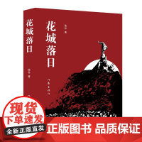 花城落日 汤谷著 旖旎奇崛的岭南秘史 跌宕起伏的故事情节