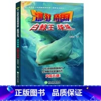 [正版]冰狱帝国白鲸王球球 你一定没听过的神秘动物故事我要成王系列 李浚丰著三四五六年级中小学生课外阅读物儿童科普百科