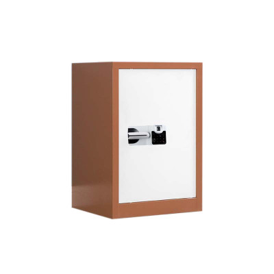 铭威盾保密柜财务档案柜文件柜办公室资料储物柜保险柜电子密码国保锁单门咖白-国保指纹锁常规