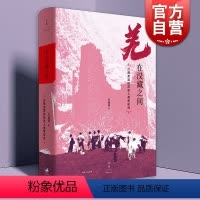 [正版]2021新版 羌在汉藏之间:川西羌族的历史人类学研究 历史人类学家王明珂力作上海人民出版社 另著华夏边缘/游牧