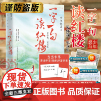 [专享印签+随机亲签版+赠关系图+海报]一字一句读红楼 鲜衣怒马少年时作者少年怒马三年心血力作全面解读红楼梦小说散文诗歌